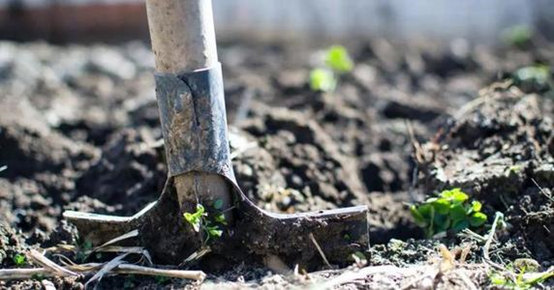 1629436253523149.png image.png